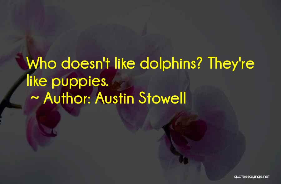 Austin Stowell Quotes: Who Doesn't Like Dolphins? They're Like Puppies.
