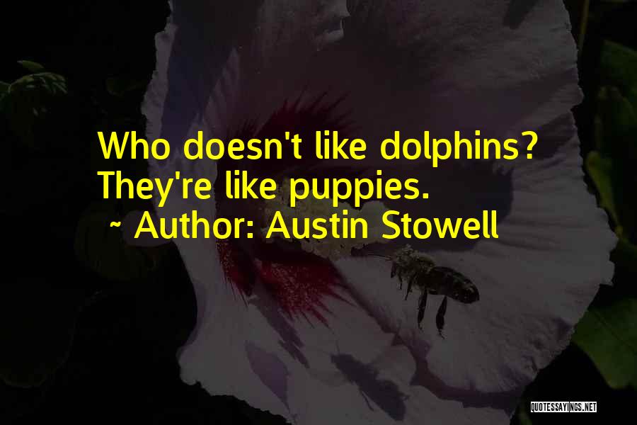 Austin Stowell Quotes: Who Doesn't Like Dolphins? They're Like Puppies.