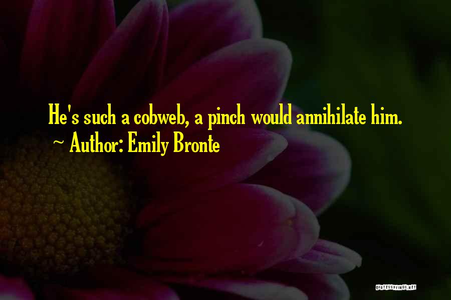 Emily Bronte Quotes: He's Such A Cobweb, A Pinch Would Annihilate Him.