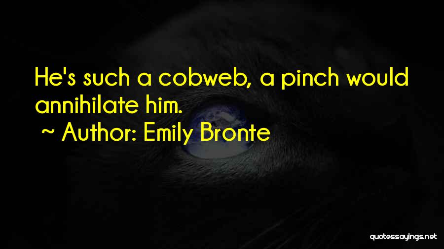 Emily Bronte Quotes: He's Such A Cobweb, A Pinch Would Annihilate Him.