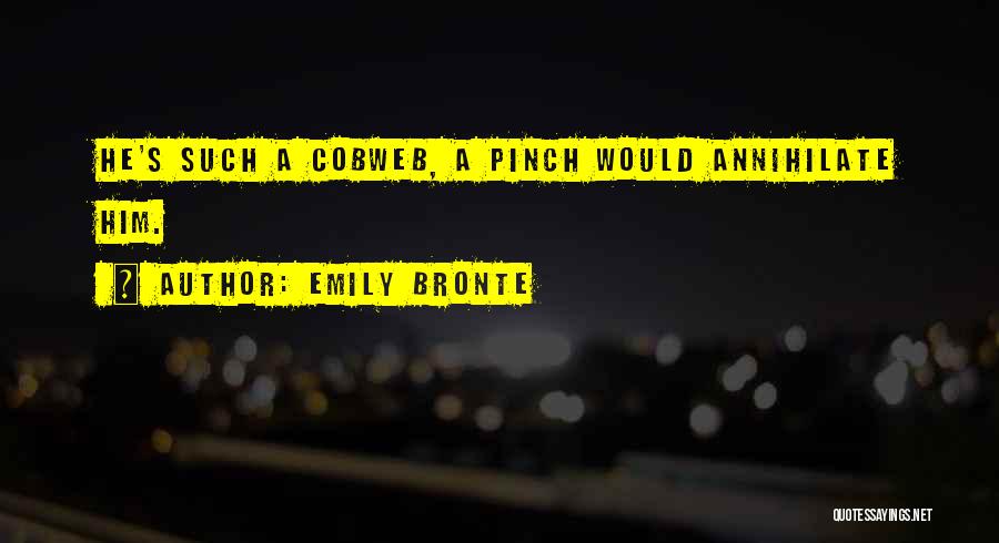 Emily Bronte Quotes: He's Such A Cobweb, A Pinch Would Annihilate Him.