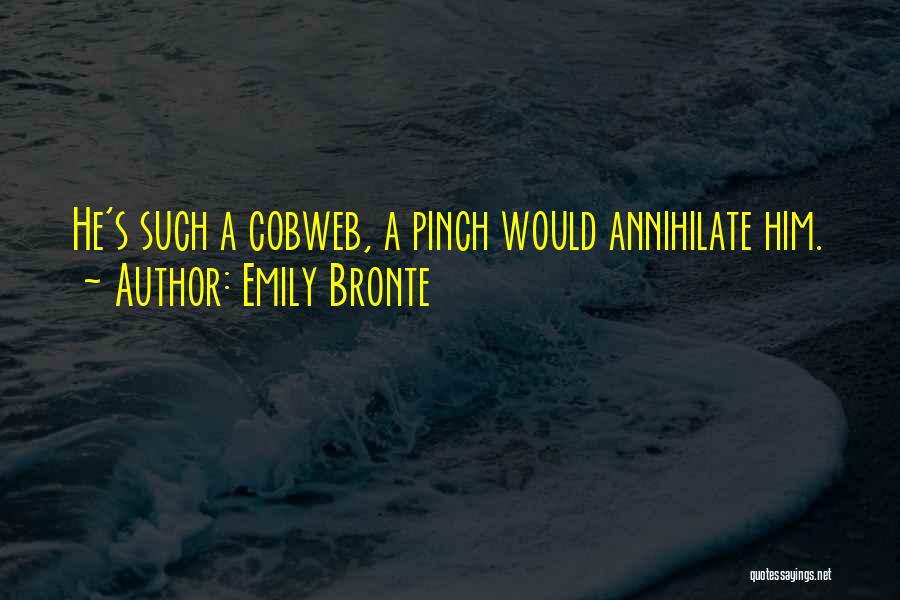 Emily Bronte Quotes: He's Such A Cobweb, A Pinch Would Annihilate Him.