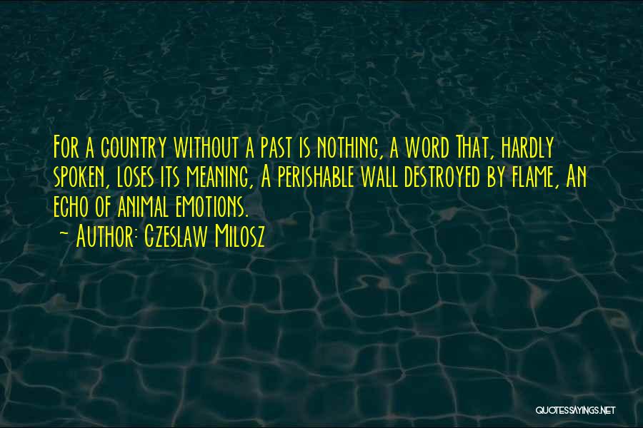 Czeslaw Milosz Quotes: For A Country Without A Past Is Nothing, A Word That, Hardly Spoken, Loses Its Meaning, A Perishable Wall Destroyed