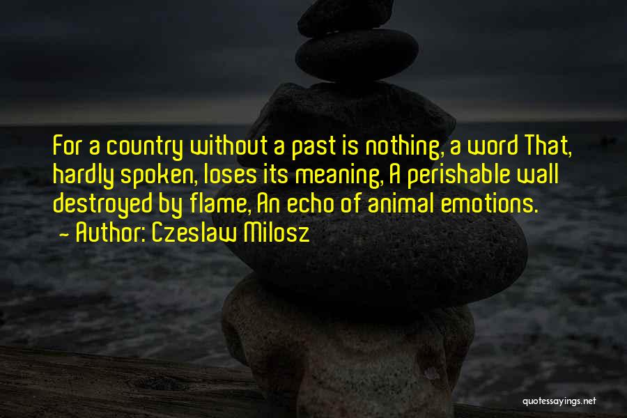 Czeslaw Milosz Quotes: For A Country Without A Past Is Nothing, A Word That, Hardly Spoken, Loses Its Meaning, A Perishable Wall Destroyed