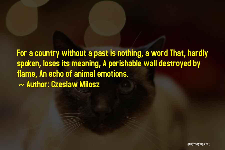 Czeslaw Milosz Quotes: For A Country Without A Past Is Nothing, A Word That, Hardly Spoken, Loses Its Meaning, A Perishable Wall Destroyed