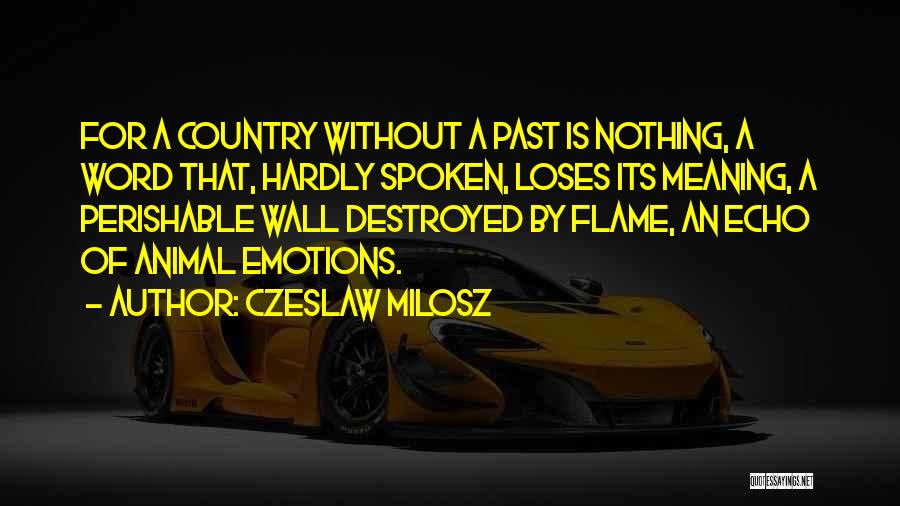 Czeslaw Milosz Quotes: For A Country Without A Past Is Nothing, A Word That, Hardly Spoken, Loses Its Meaning, A Perishable Wall Destroyed