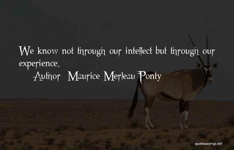 Maurice Merleau Ponty Quotes: We Know Not Through Our Intellect But Through Our Experience.