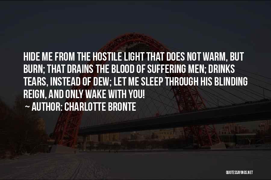 Charlotte Bronte Quotes: Hide Me From The Hostile Light That Does Not Warm, But Burn; That Drains The Blood Of Suffering Men; Drinks