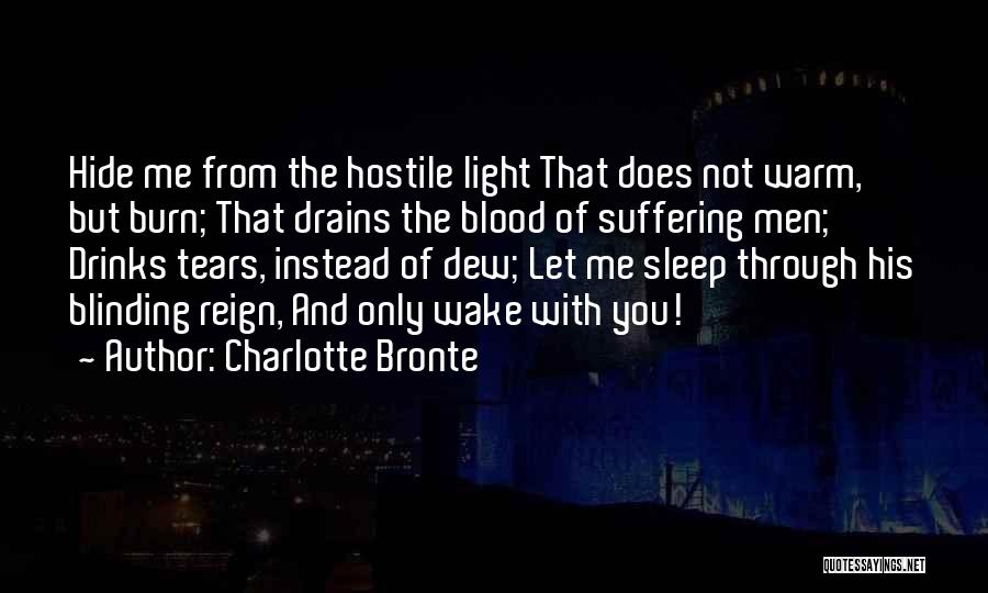 Charlotte Bronte Quotes: Hide Me From The Hostile Light That Does Not Warm, But Burn; That Drains The Blood Of Suffering Men; Drinks