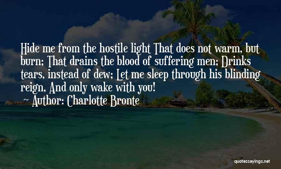 Charlotte Bronte Quotes: Hide Me From The Hostile Light That Does Not Warm, But Burn; That Drains The Blood Of Suffering Men; Drinks