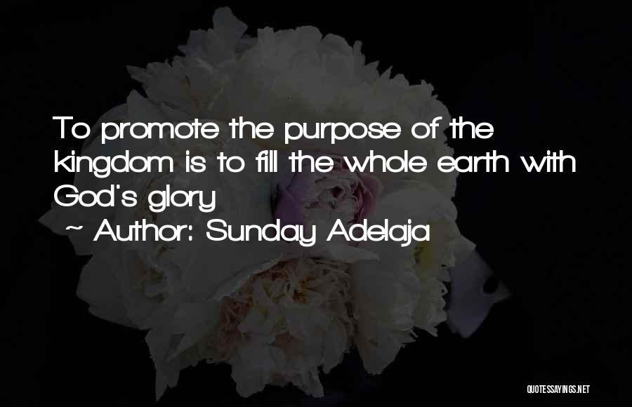 Sunday Adelaja Quotes: To Promote The Purpose Of The Kingdom Is To Fill The Whole Earth With God's Glory