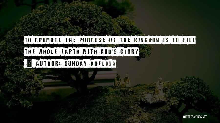Sunday Adelaja Quotes: To Promote The Purpose Of The Kingdom Is To Fill The Whole Earth With God's Glory