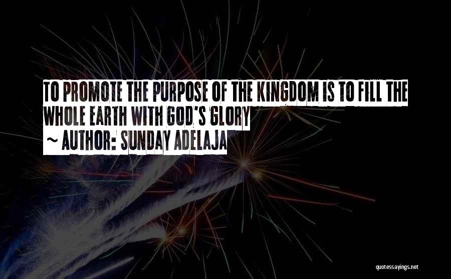 Sunday Adelaja Quotes: To Promote The Purpose Of The Kingdom Is To Fill The Whole Earth With God's Glory