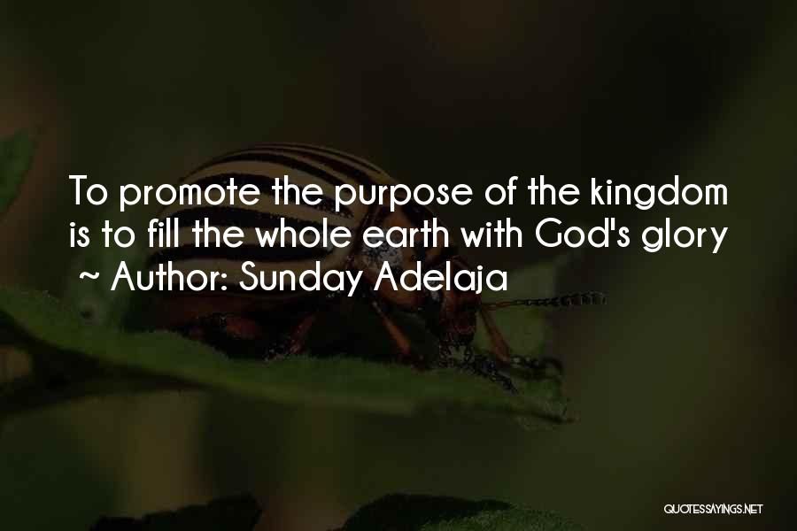 Sunday Adelaja Quotes: To Promote The Purpose Of The Kingdom Is To Fill The Whole Earth With God's Glory
