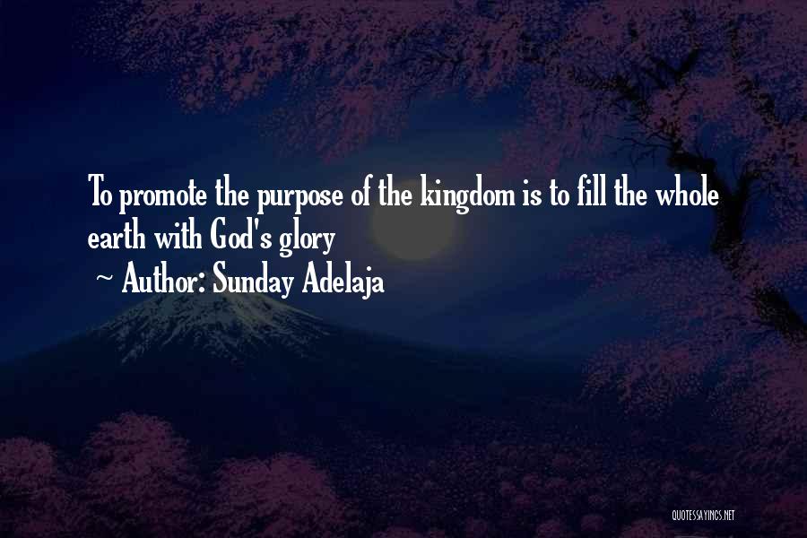 Sunday Adelaja Quotes: To Promote The Purpose Of The Kingdom Is To Fill The Whole Earth With God's Glory
