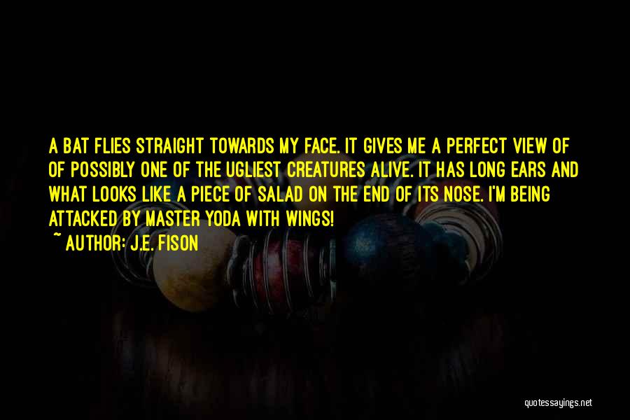 J.E. Fison Quotes: A Bat Flies Straight Towards My Face. It Gives Me A Perfect View Of Of Possibly One Of The Ugliest