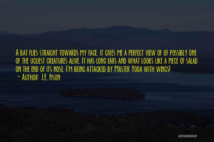 J.E. Fison Quotes: A Bat Flies Straight Towards My Face. It Gives Me A Perfect View Of Of Possibly One Of The Ugliest