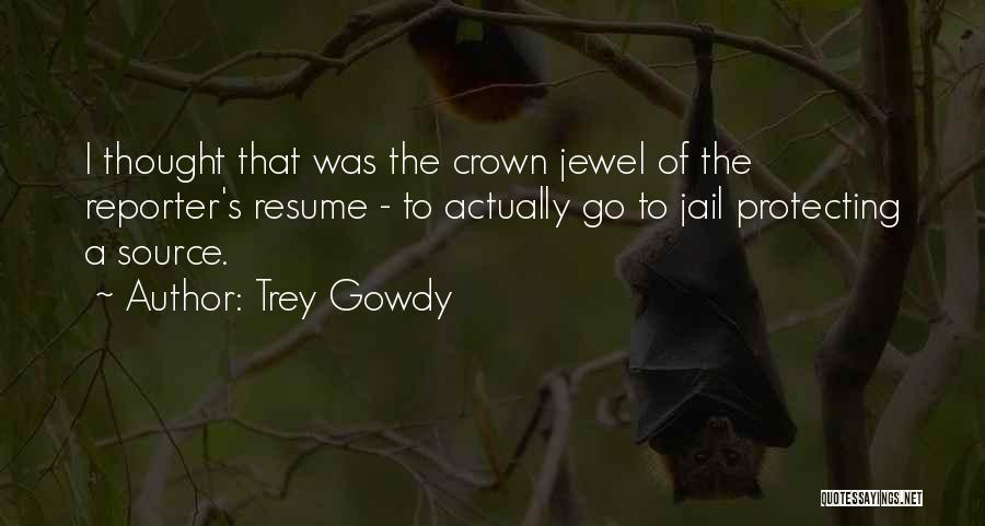 Trey Gowdy Quotes: I Thought That Was The Crown Jewel Of The Reporter's Resume - To Actually Go To Jail Protecting A Source.