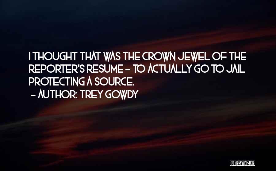 Trey Gowdy Quotes: I Thought That Was The Crown Jewel Of The Reporter's Resume - To Actually Go To Jail Protecting A Source.