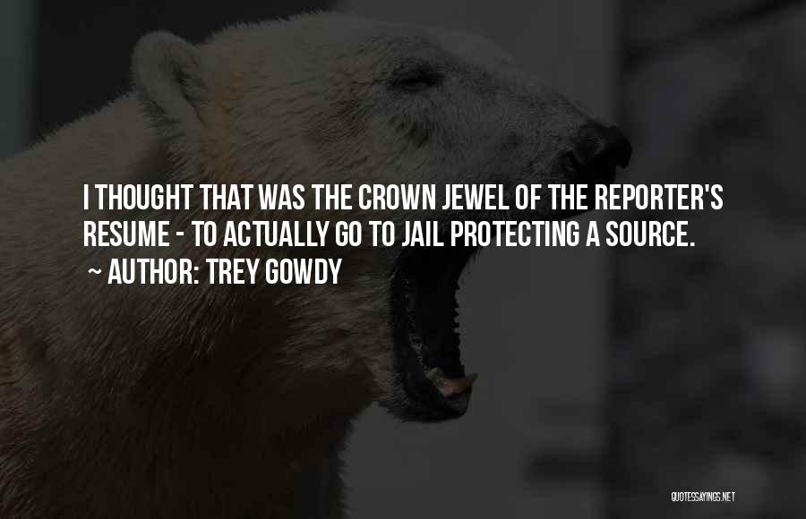 Trey Gowdy Quotes: I Thought That Was The Crown Jewel Of The Reporter's Resume - To Actually Go To Jail Protecting A Source.