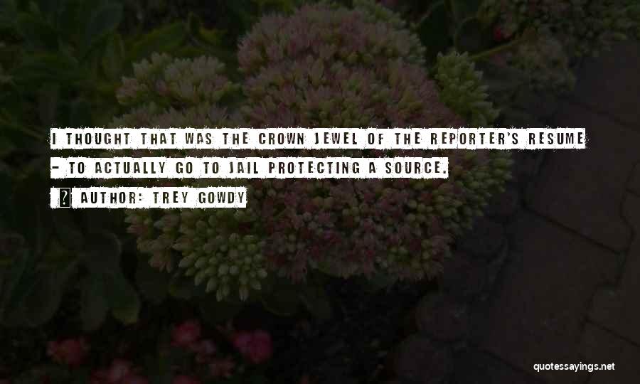 Trey Gowdy Quotes: I Thought That Was The Crown Jewel Of The Reporter's Resume - To Actually Go To Jail Protecting A Source.