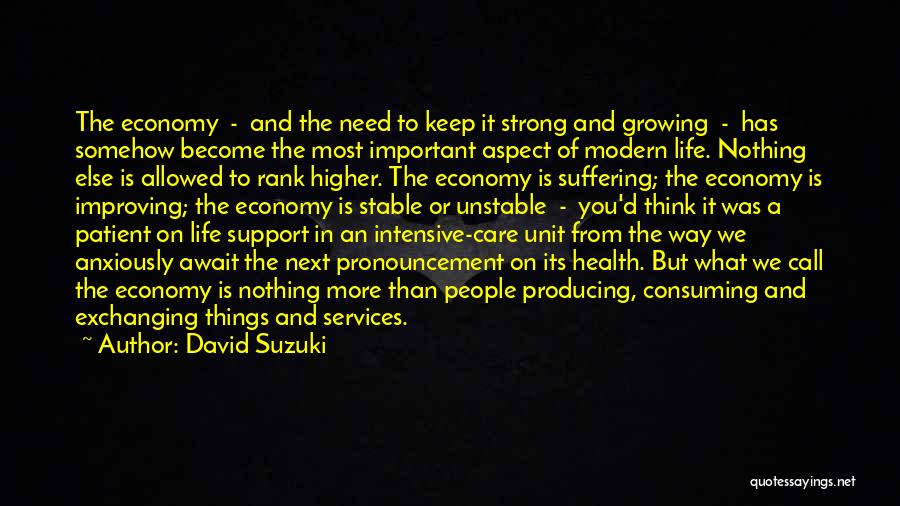 David Suzuki Quotes: The Economy - And The Need To Keep It Strong And Growing - Has Somehow Become The Most Important Aspect