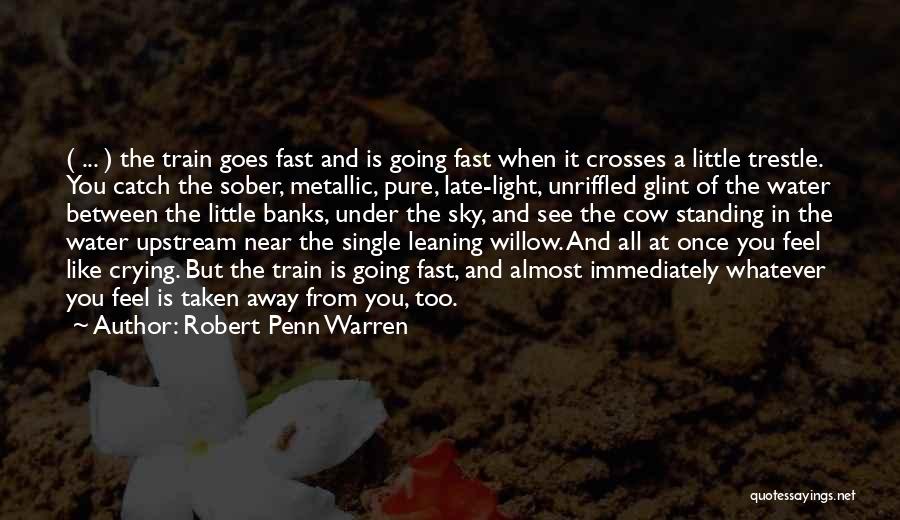 Robert Penn Warren Quotes: ( ... ) The Train Goes Fast And Is Going Fast When It Crosses A Little Trestle. You Catch The