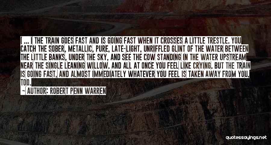 Robert Penn Warren Quotes: ( ... ) The Train Goes Fast And Is Going Fast When It Crosses A Little Trestle. You Catch The