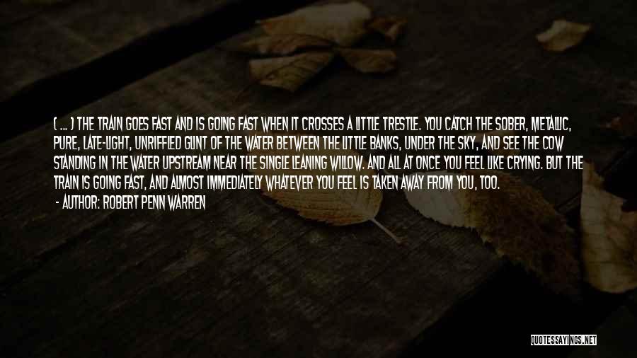 Robert Penn Warren Quotes: ( ... ) The Train Goes Fast And Is Going Fast When It Crosses A Little Trestle. You Catch The