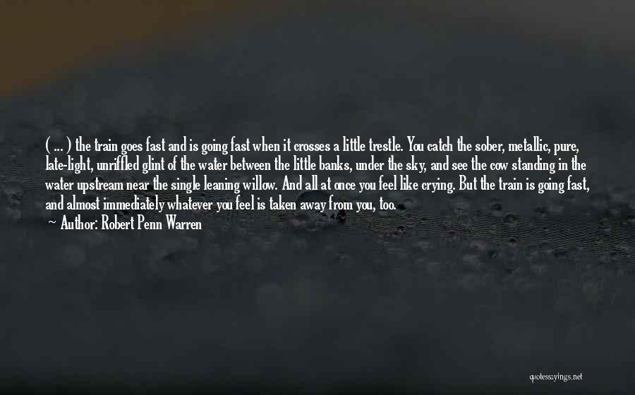 Robert Penn Warren Quotes: ( ... ) The Train Goes Fast And Is Going Fast When It Crosses A Little Trestle. You Catch The