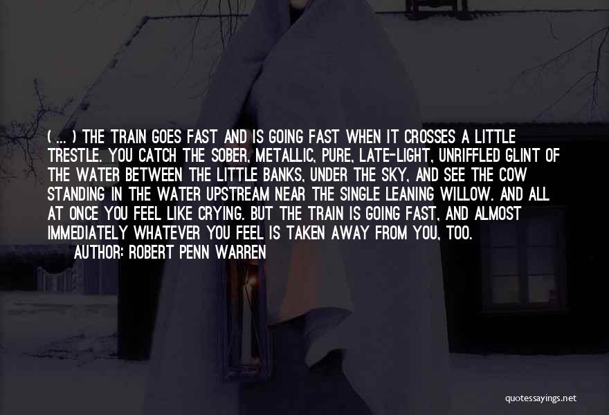 Robert Penn Warren Quotes: ( ... ) The Train Goes Fast And Is Going Fast When It Crosses A Little Trestle. You Catch The