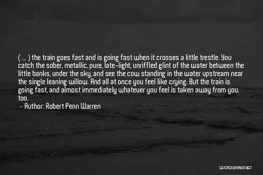 Robert Penn Warren Quotes: ( ... ) The Train Goes Fast And Is Going Fast When It Crosses A Little Trestle. You Catch The