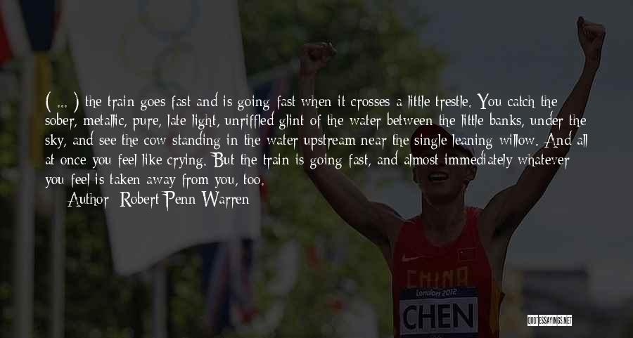 Robert Penn Warren Quotes: ( ... ) The Train Goes Fast And Is Going Fast When It Crosses A Little Trestle. You Catch The