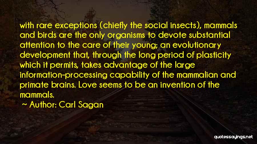 Carl Sagan Quotes: With Rare Exceptions (chiefly The Social Insects), Mammals And Birds Are The Only Organisms To Devote Substantial Attention To The