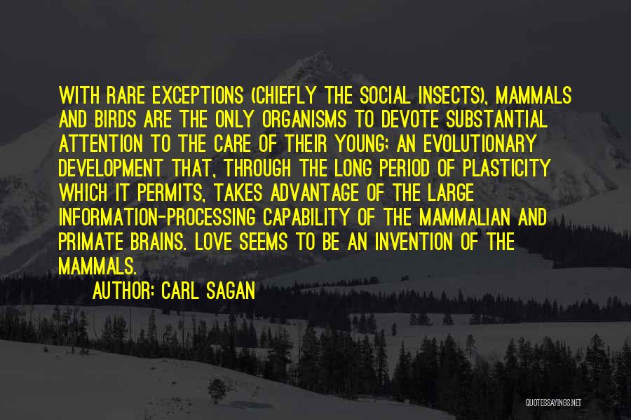 Carl Sagan Quotes: With Rare Exceptions (chiefly The Social Insects), Mammals And Birds Are The Only Organisms To Devote Substantial Attention To The