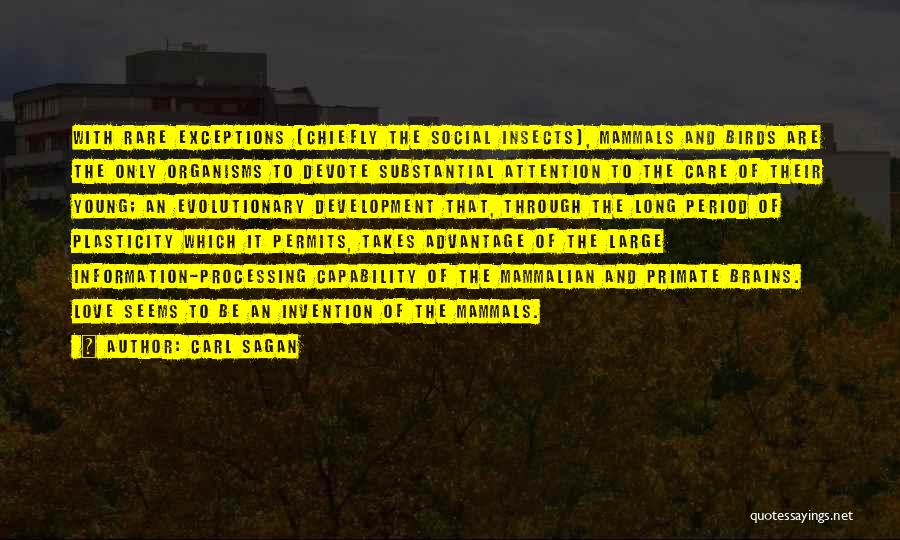 Carl Sagan Quotes: With Rare Exceptions (chiefly The Social Insects), Mammals And Birds Are The Only Organisms To Devote Substantial Attention To The