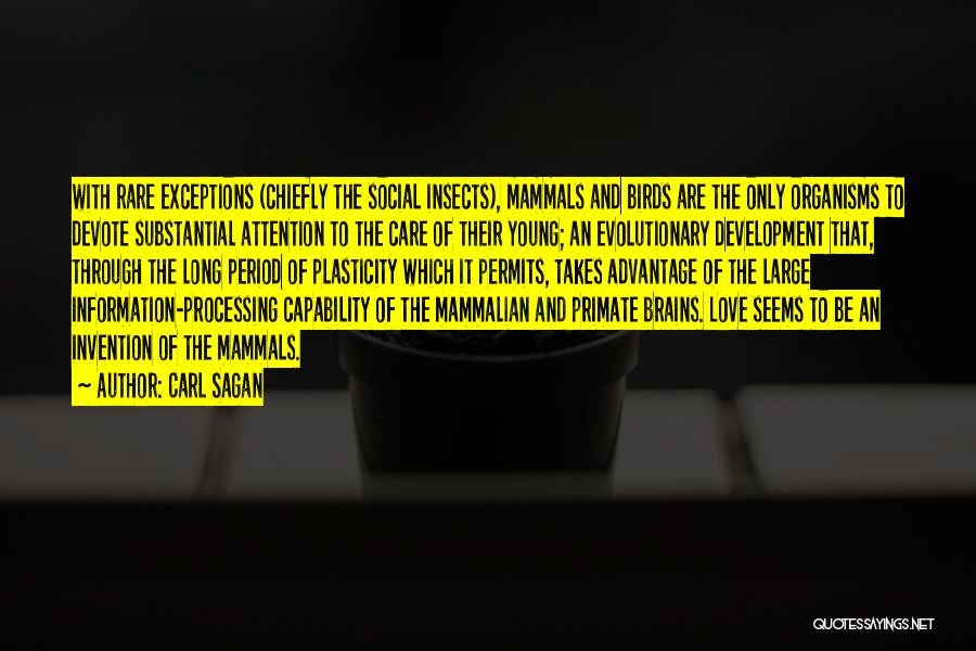 Carl Sagan Quotes: With Rare Exceptions (chiefly The Social Insects), Mammals And Birds Are The Only Organisms To Devote Substantial Attention To The