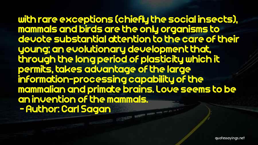 Carl Sagan Quotes: With Rare Exceptions (chiefly The Social Insects), Mammals And Birds Are The Only Organisms To Devote Substantial Attention To The