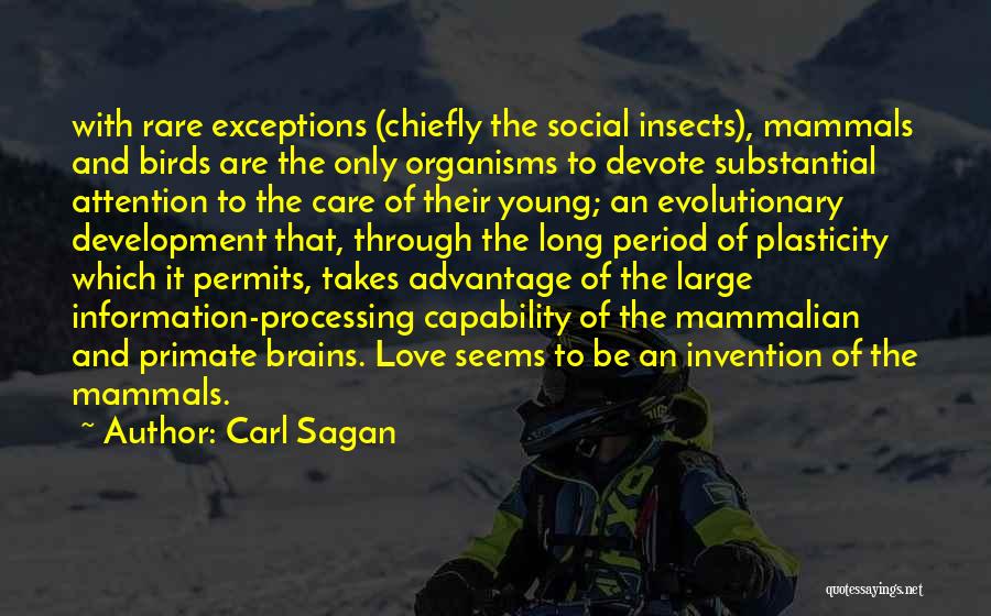 Carl Sagan Quotes: With Rare Exceptions (chiefly The Social Insects), Mammals And Birds Are The Only Organisms To Devote Substantial Attention To The