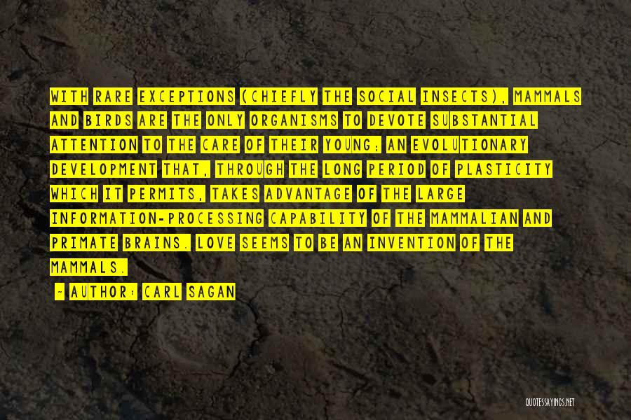 Carl Sagan Quotes: With Rare Exceptions (chiefly The Social Insects), Mammals And Birds Are The Only Organisms To Devote Substantial Attention To The