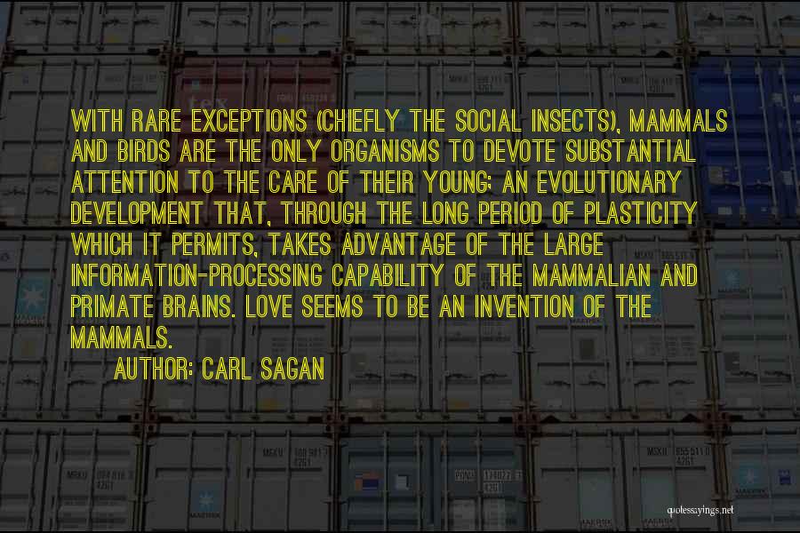 Carl Sagan Quotes: With Rare Exceptions (chiefly The Social Insects), Mammals And Birds Are The Only Organisms To Devote Substantial Attention To The