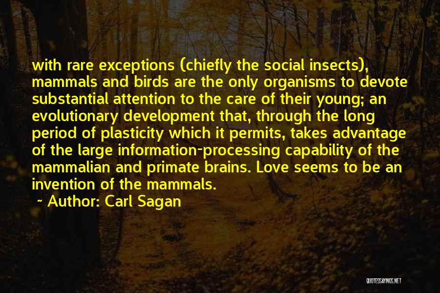 Carl Sagan Quotes: With Rare Exceptions (chiefly The Social Insects), Mammals And Birds Are The Only Organisms To Devote Substantial Attention To The