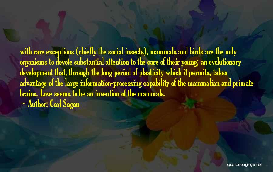 Carl Sagan Quotes: With Rare Exceptions (chiefly The Social Insects), Mammals And Birds Are The Only Organisms To Devote Substantial Attention To The