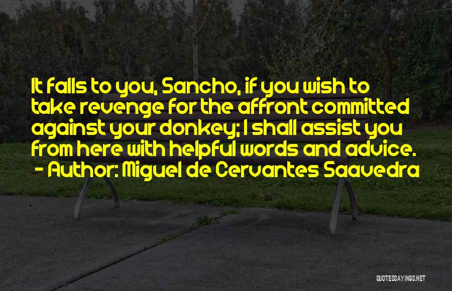 Miguel De Cervantes Saavedra Quotes: It Falls To You, Sancho, If You Wish To Take Revenge For The Affront Committed Against Your Donkey; I Shall