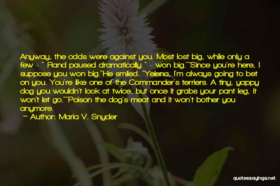 Maria V. Snyder Quotes: Anyway, The Odds Were Against You. Most Lost Big, While Only A Few - Rand Paused Dramatically - Won Big.since