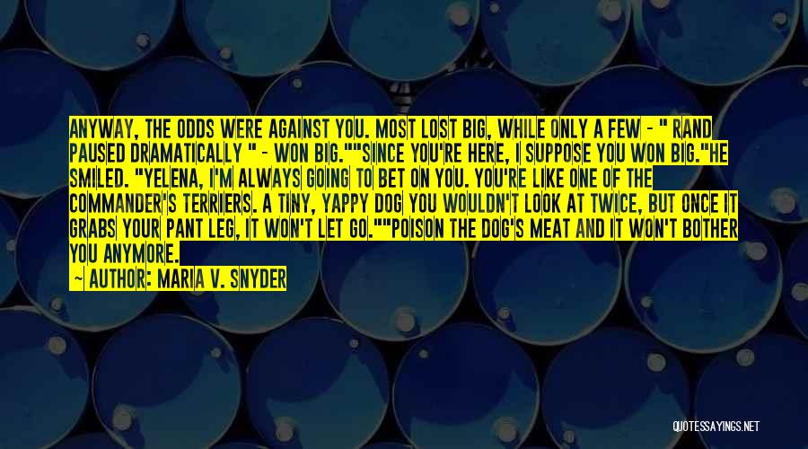 Maria V. Snyder Quotes: Anyway, The Odds Were Against You. Most Lost Big, While Only A Few - Rand Paused Dramatically - Won Big.since