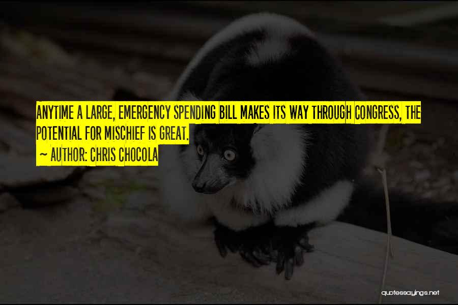 Chris Chocola Quotes: Anytime A Large, Emergency Spending Bill Makes Its Way Through Congress, The Potential For Mischief Is Great.