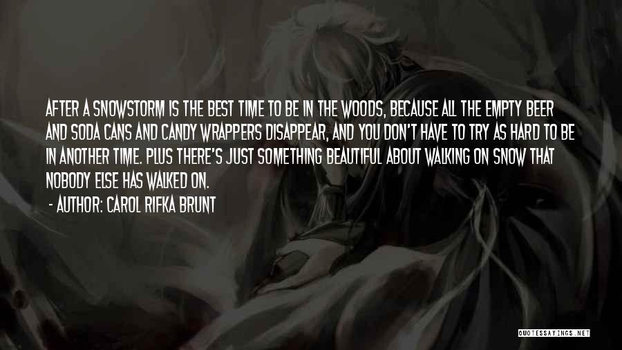 Carol Rifka Brunt Quotes: After A Snowstorm Is The Best Time To Be In The Woods, Because All The Empty Beer And Soda Cans