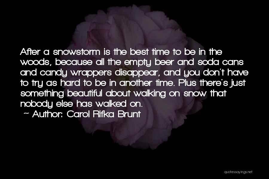 Carol Rifka Brunt Quotes: After A Snowstorm Is The Best Time To Be In The Woods, Because All The Empty Beer And Soda Cans