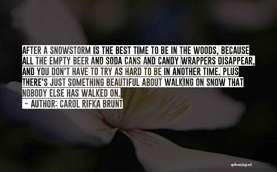Carol Rifka Brunt Quotes: After A Snowstorm Is The Best Time To Be In The Woods, Because All The Empty Beer And Soda Cans